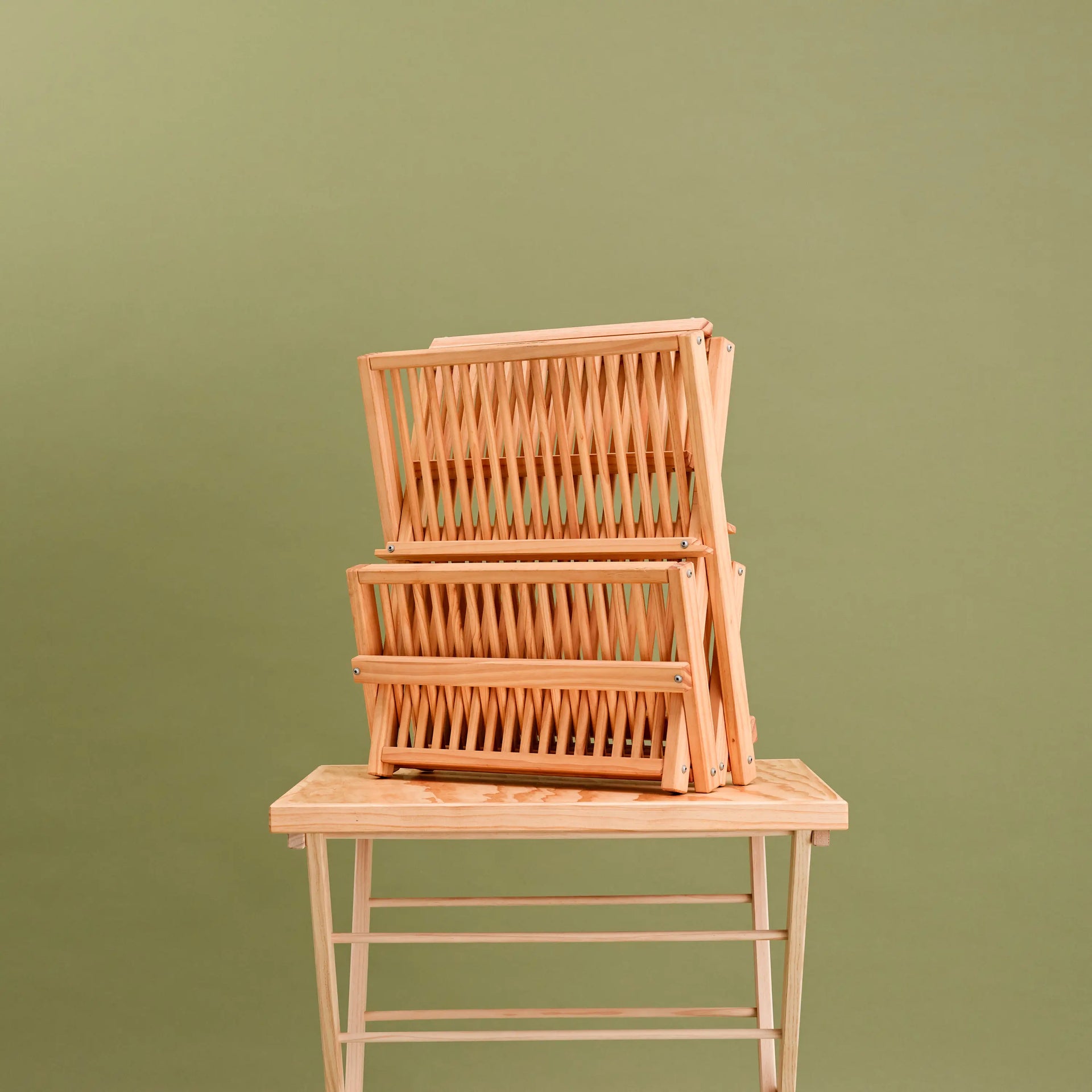 Dish Rack (Standard)